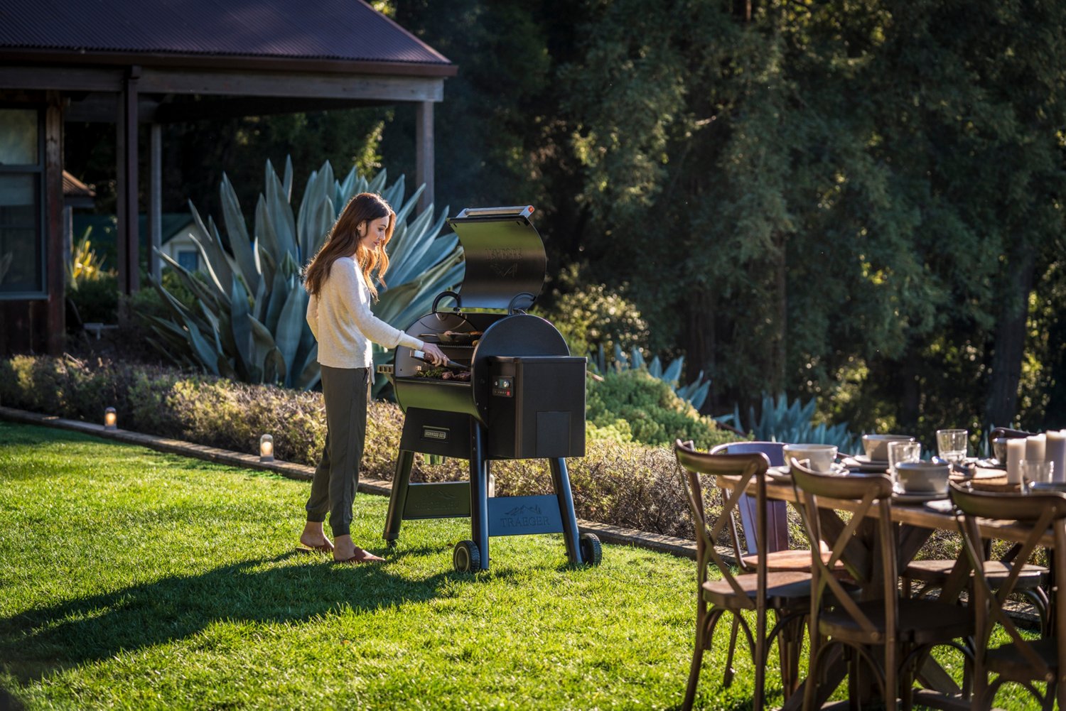 Traeger Ironwood 885 Wood Pellet Grill                                                                                           - view number 6