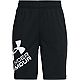 Under Armour Boys' Prototype Logo Shorts                                                                                         - view number 1 image