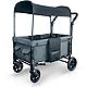 Wonderfold Wagon W1 Double Stroller Wagon                                                                                        - view number 1 selected