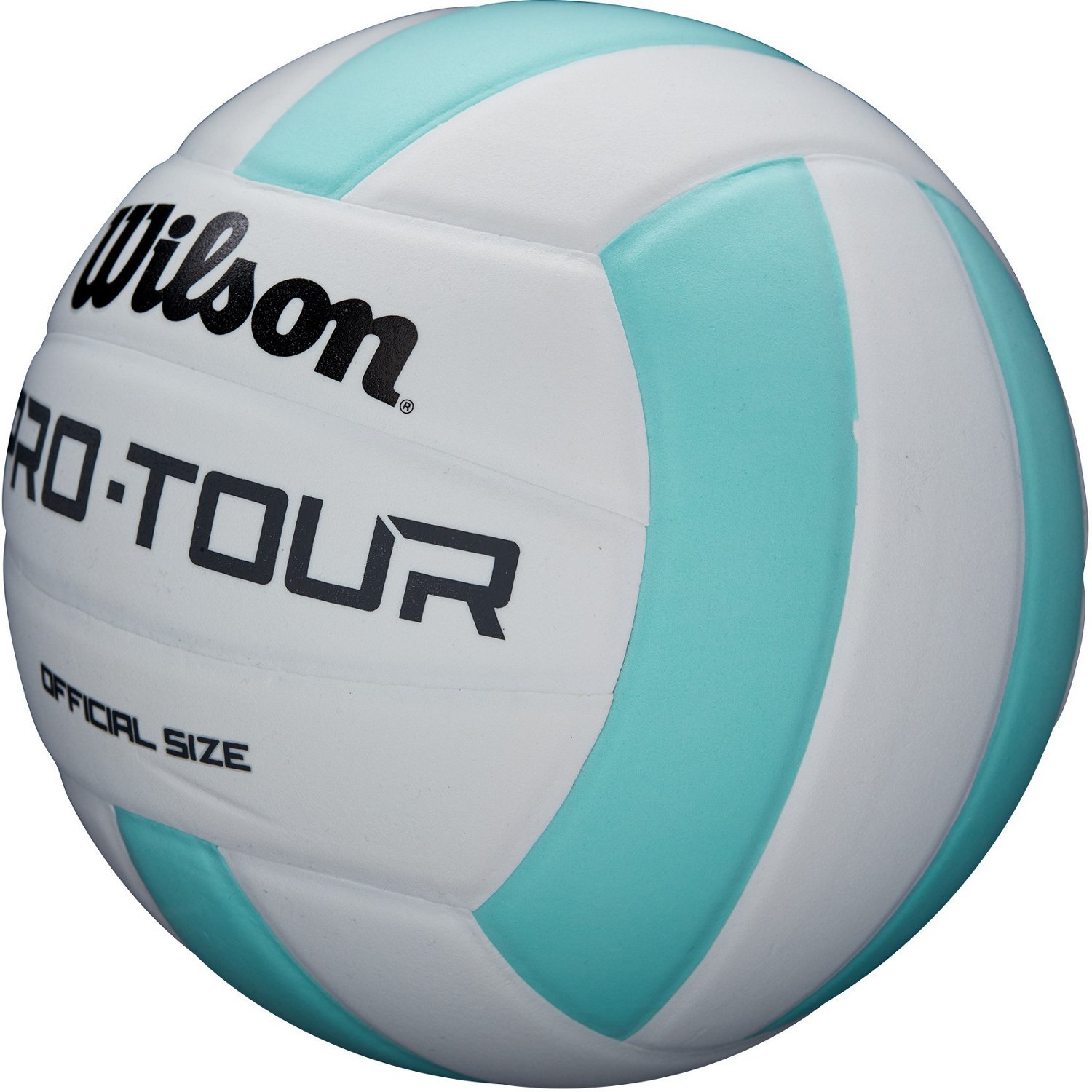 wilson pro tour indoor volleyball