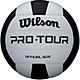 Wilson Pro Tour Indoor Volleyball                                                                                                - view number 1 image