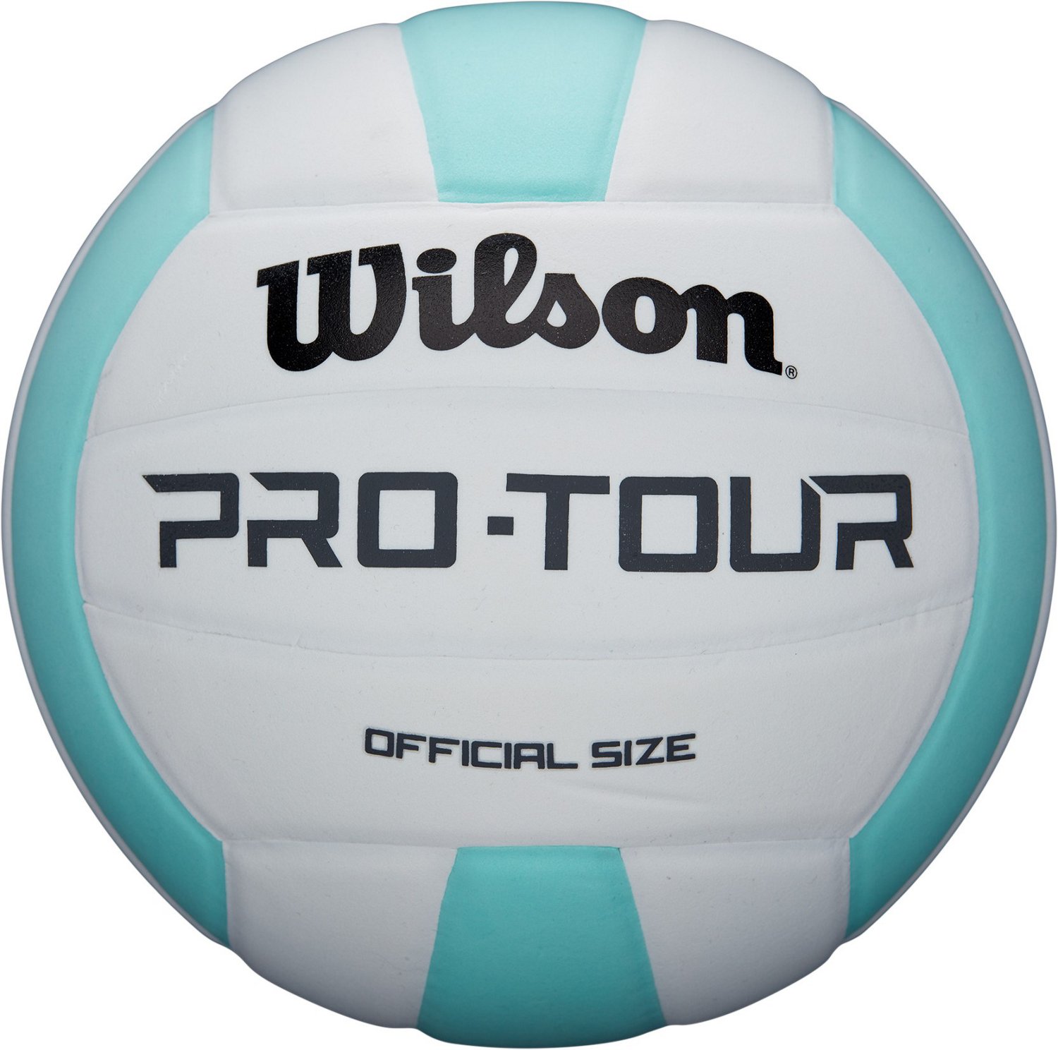 Wilson Pro Tour Indoor Volleyball Free Shipping at Academy
