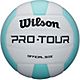 Wilson Pro Tour Indoor Volleyball                                                                                                - view number 1 selected