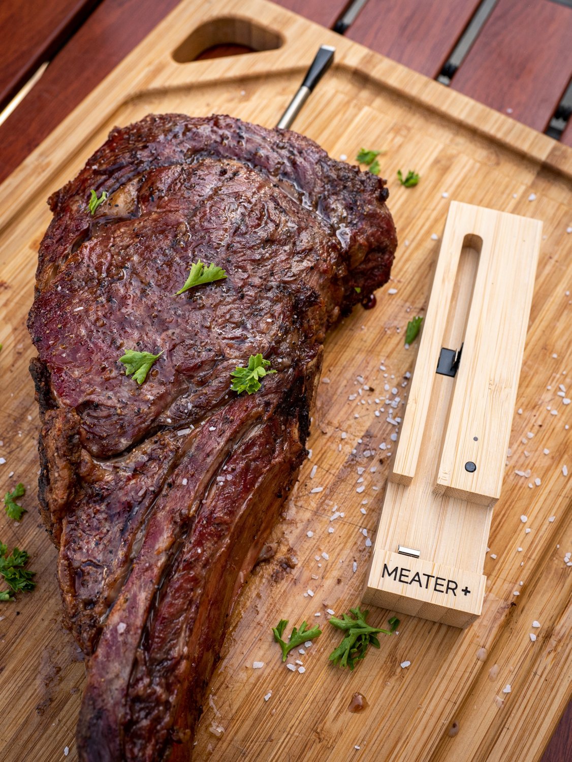 MEATER Plus Smart Thermometer Free Shipping at Academy