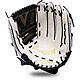 Franklin Pro Series Fast-Pitch Softball Fielding Glove                                                                           - view number 1 image