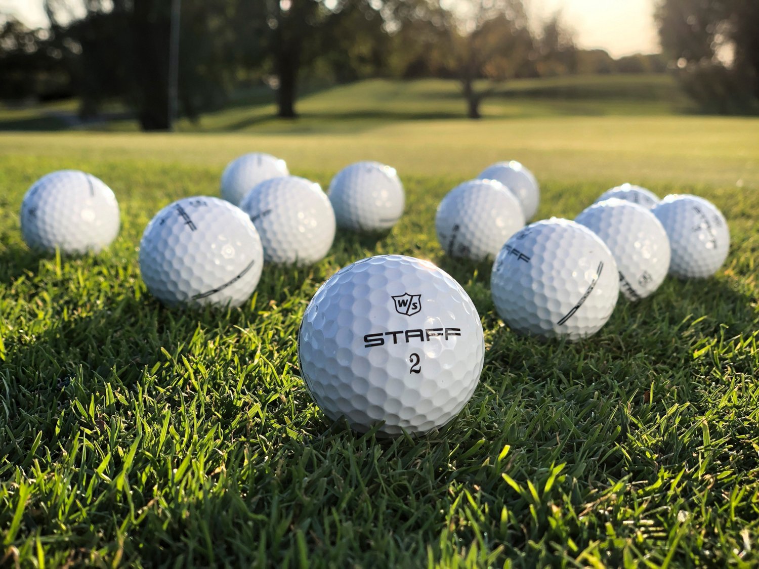 Wilson Staff Model Golf Balls 12Pack Free Shipping at Academy