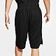 Nike Men's Dry Icon Basketball Shorts                                                                                            - view number 2 image