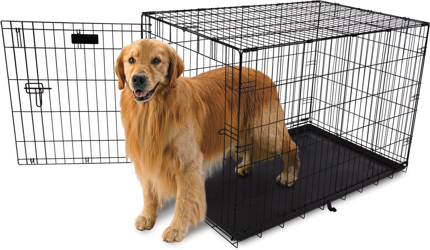 Aspen pet best sale crate blue