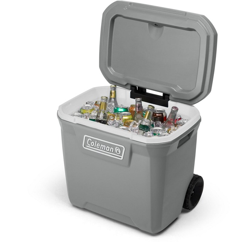 Coleman 316 Series … - image