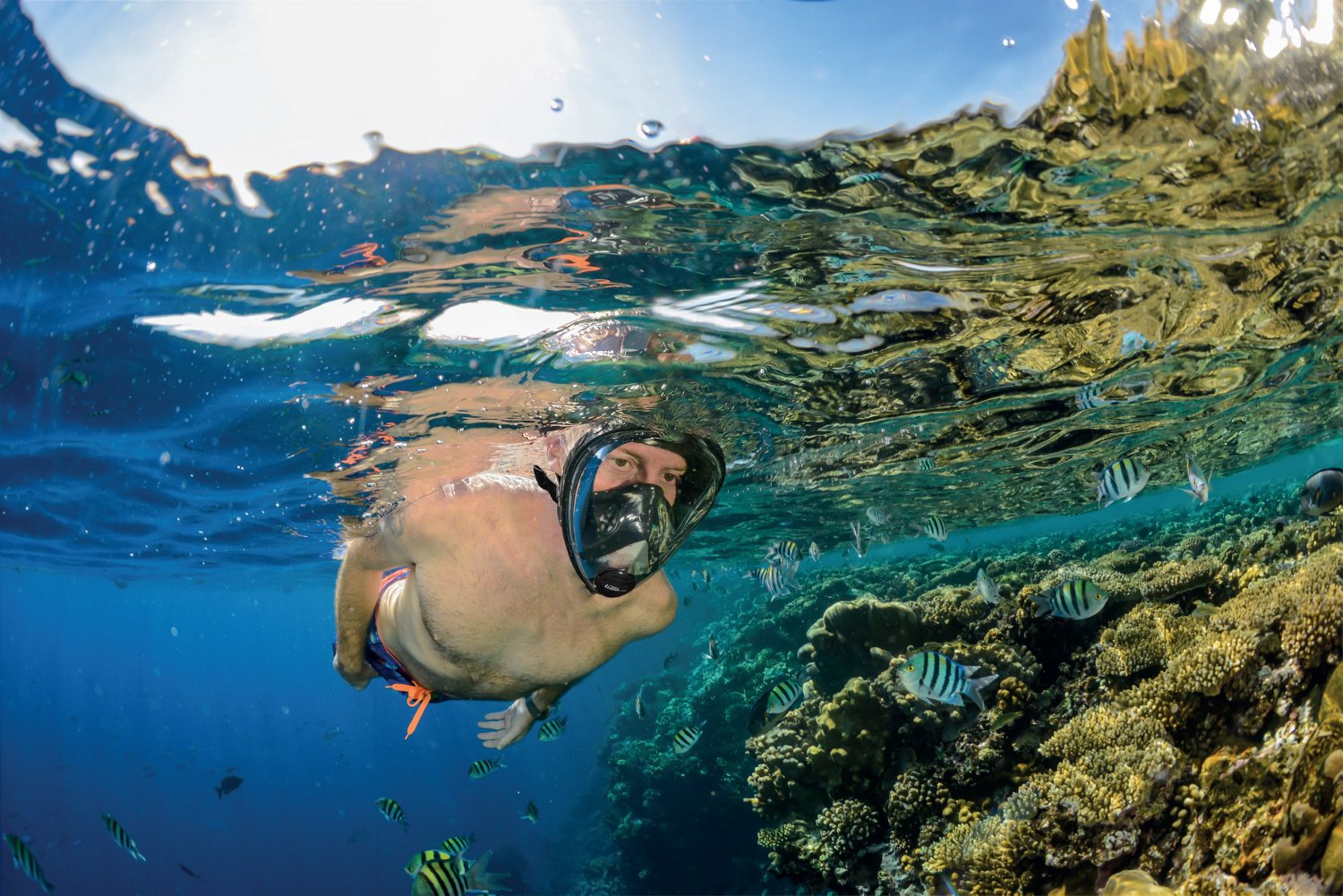 Tusa Adults' Black Series Full Face Snorkeling Mask Academy