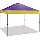 Academy Sports + Outdoors 10 ft x 10 ft One Push Straight Leg Fleur-De-Lis State Canopy                                          - view number 1 selected
