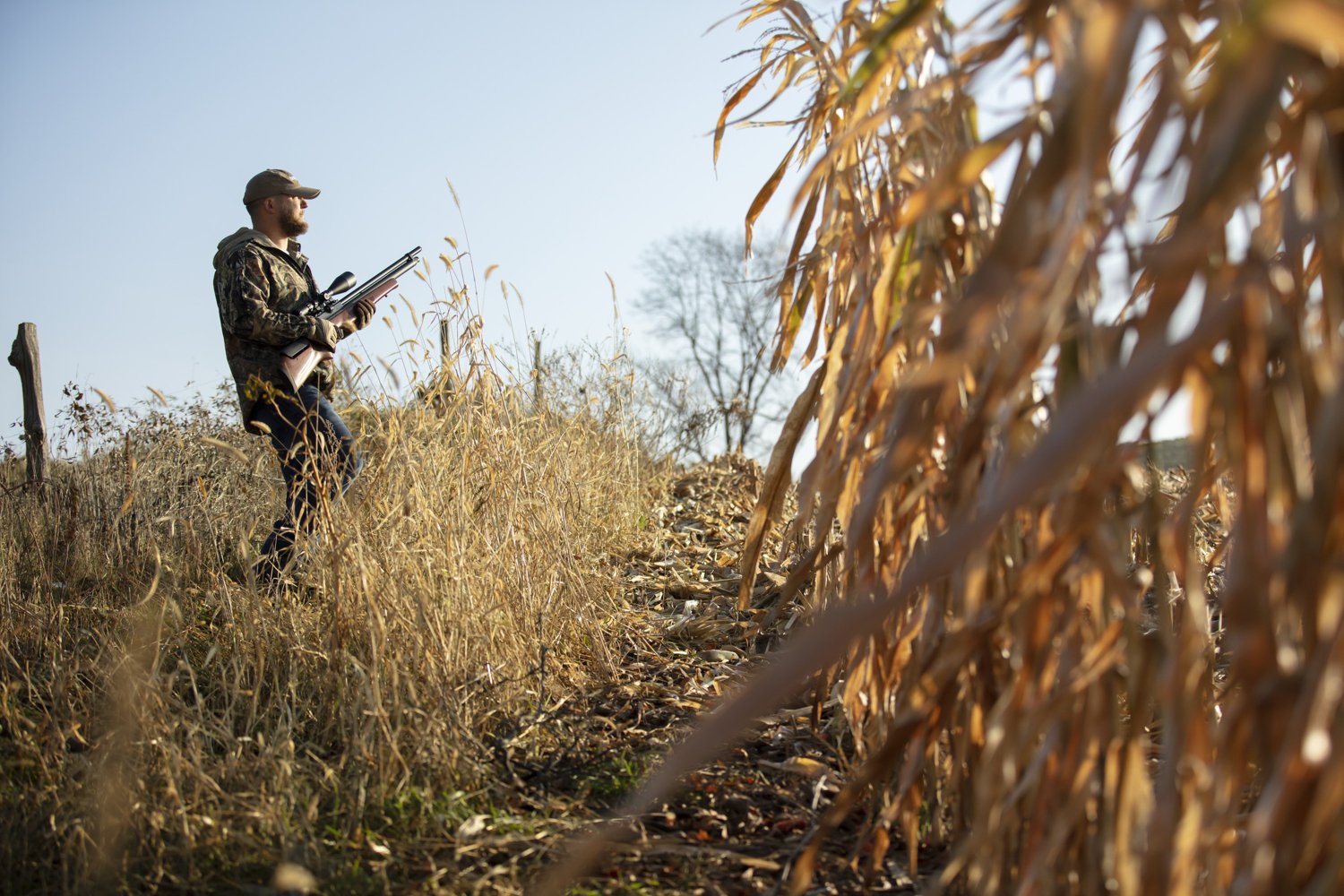 Benjamin Marauder Wood .22 Pellet Air Rifle                                                                                      - view number 3