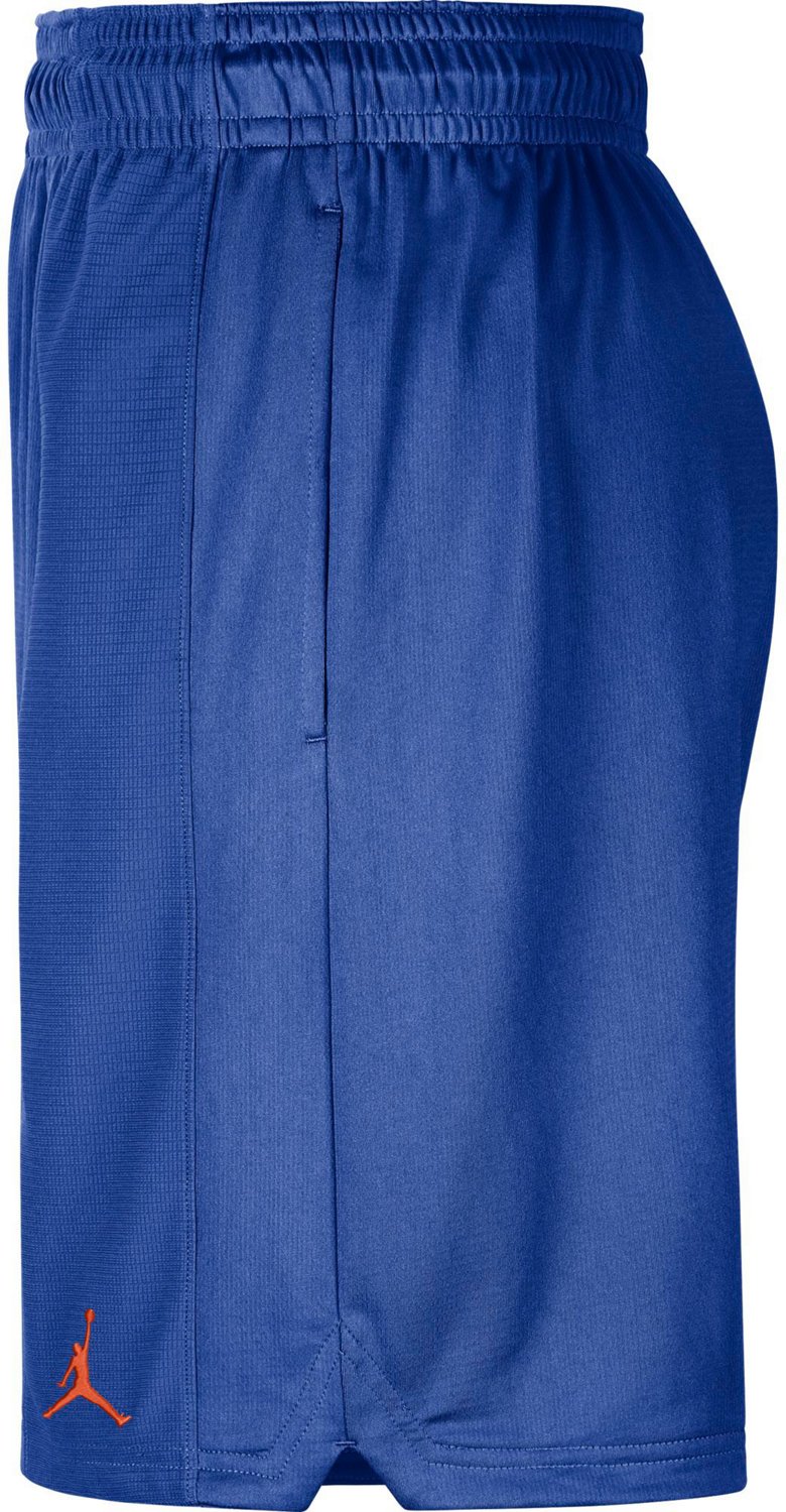 Jordan Men’s University of Florida Knit Shorts 10 in - view number 3
