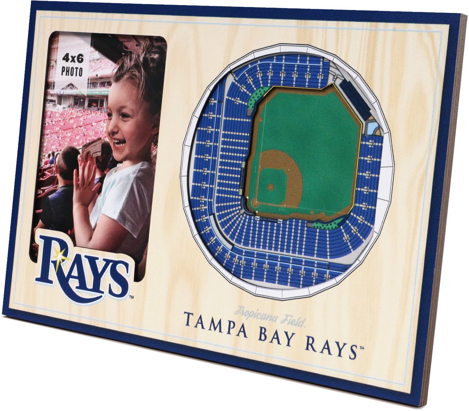 YouTheFan Tampa Bay Rays 3D Stadium Views Picture Frame