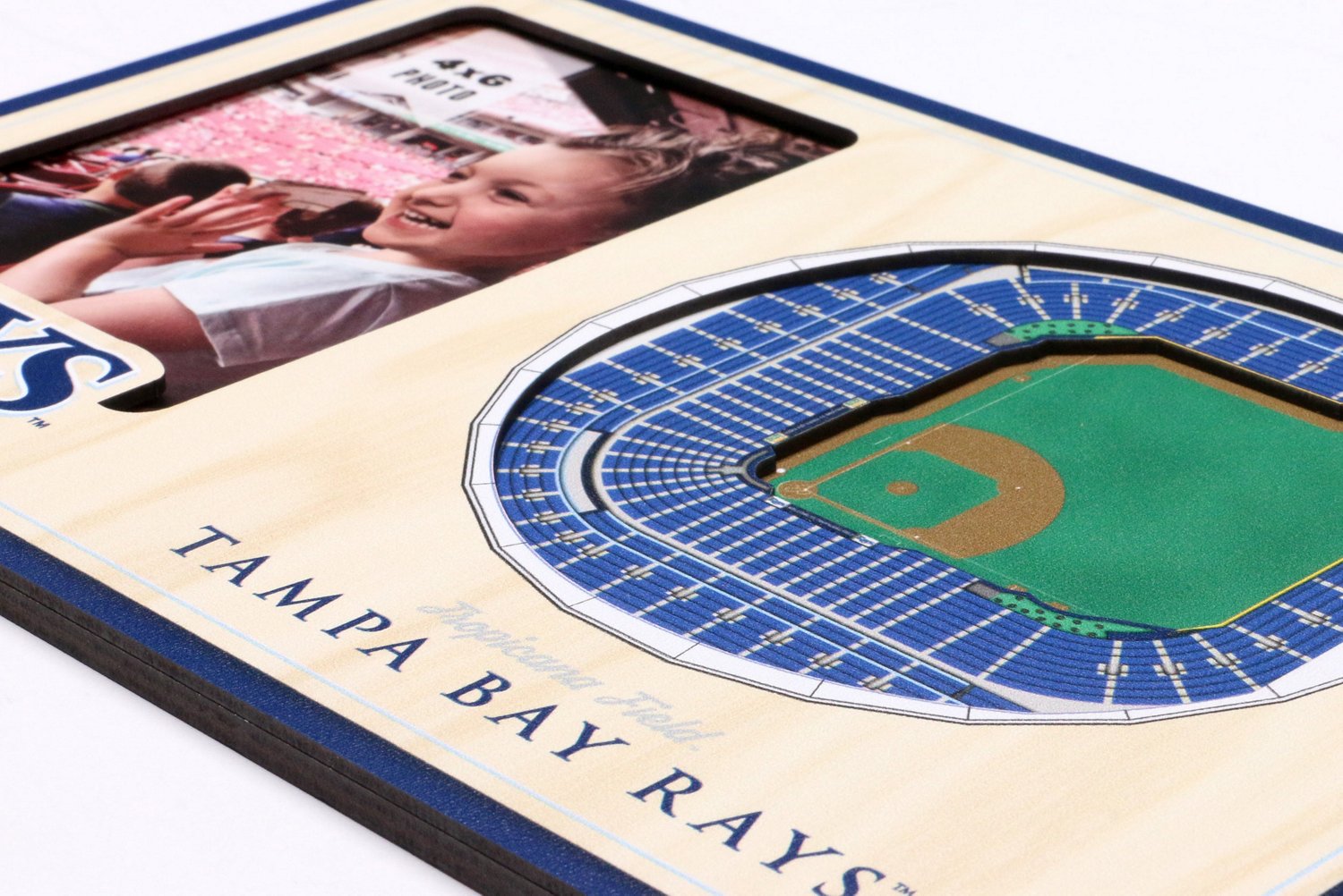 YouTheFan Tampa Bay Rays 3D Stadium Views Picture Frame - view number 4