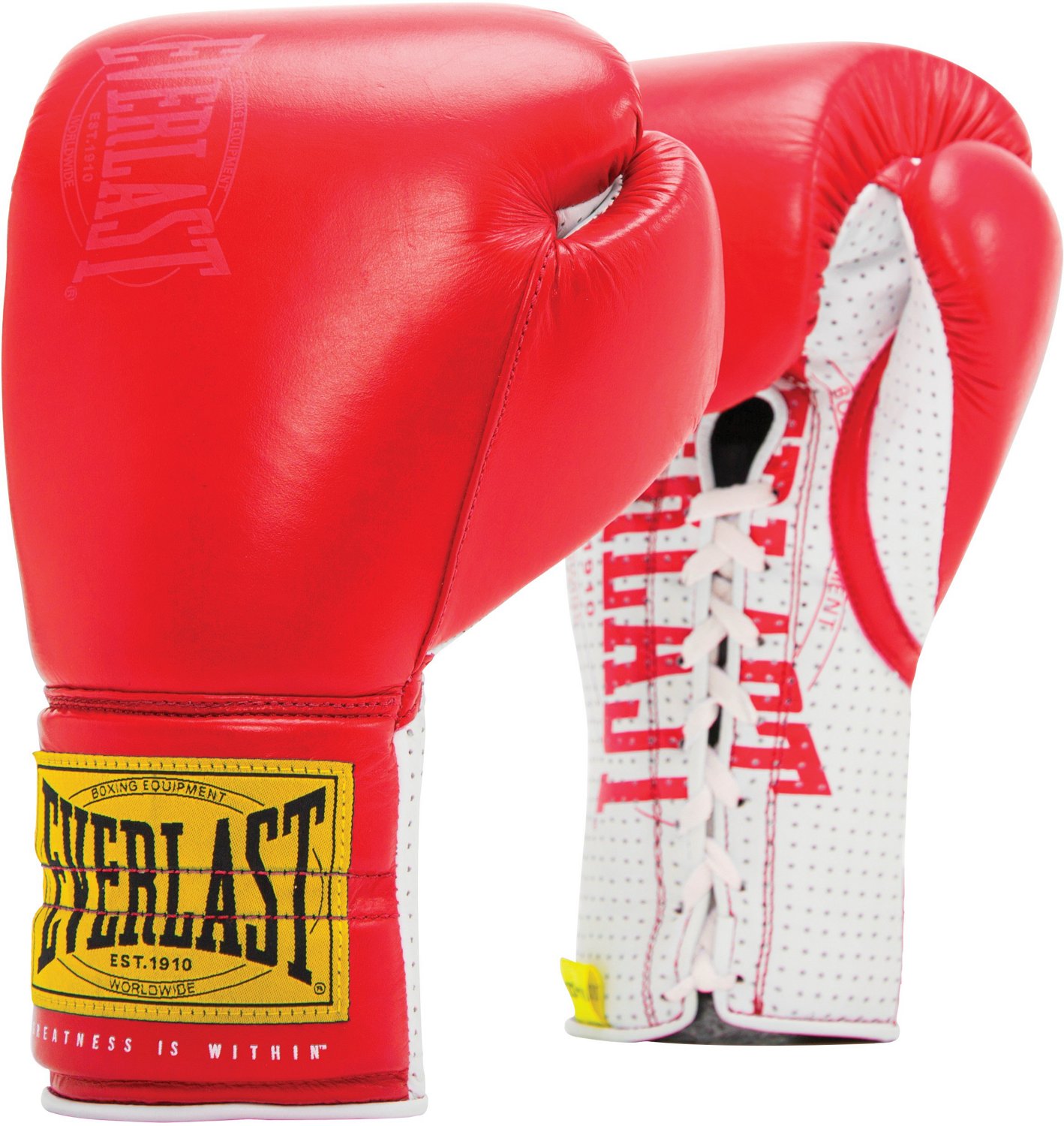 sparring gloves everlast