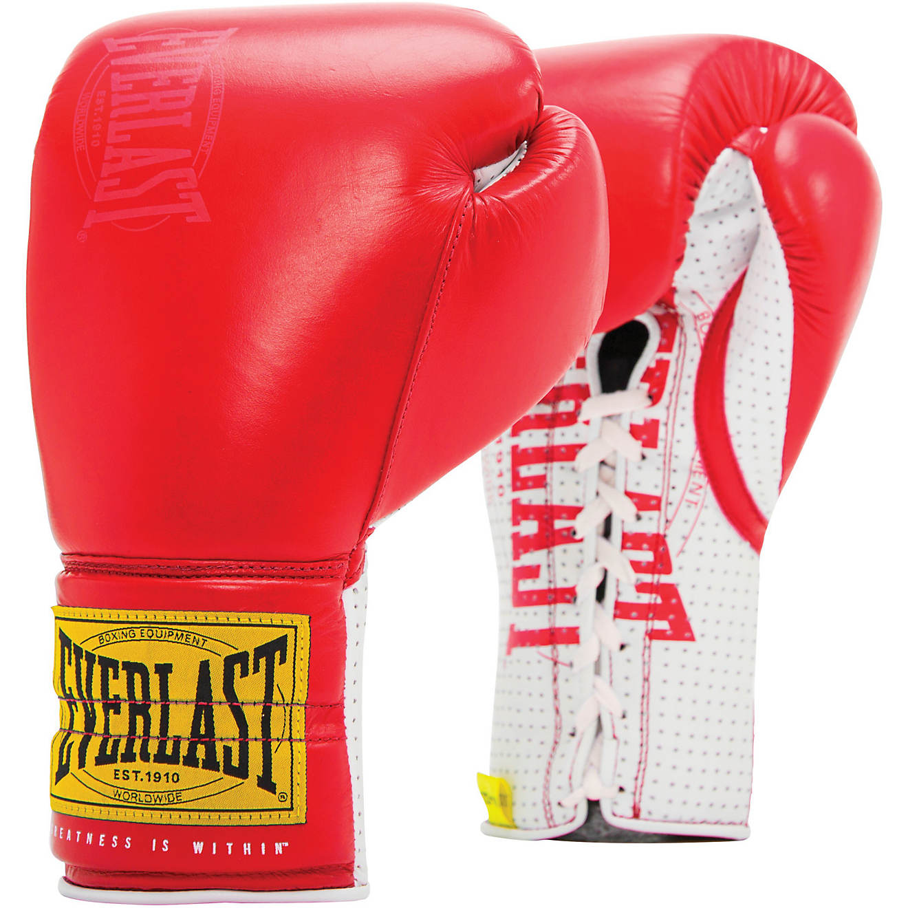 afsnit ~ side Clancy Everlast 1910 Classic Lace Sparring Gloves | Academy