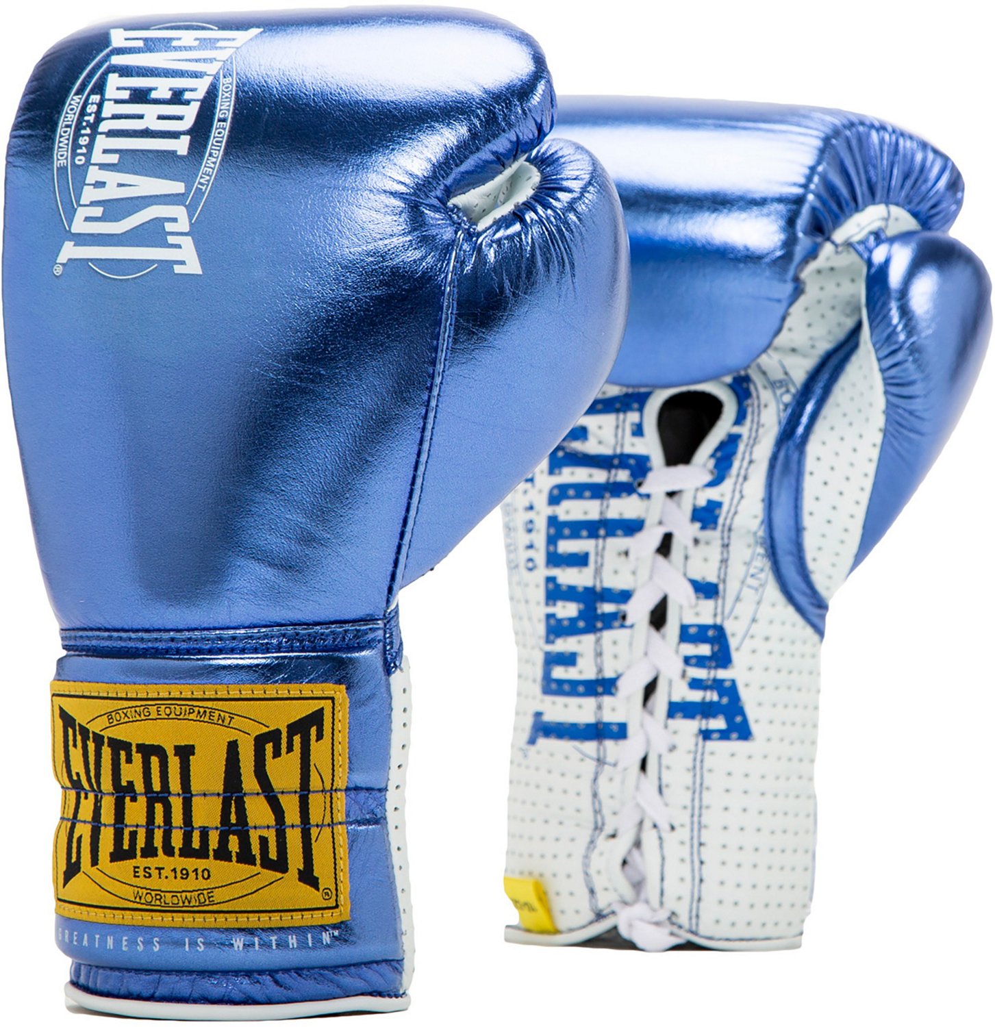 10 oz boxing sales gloves everlast