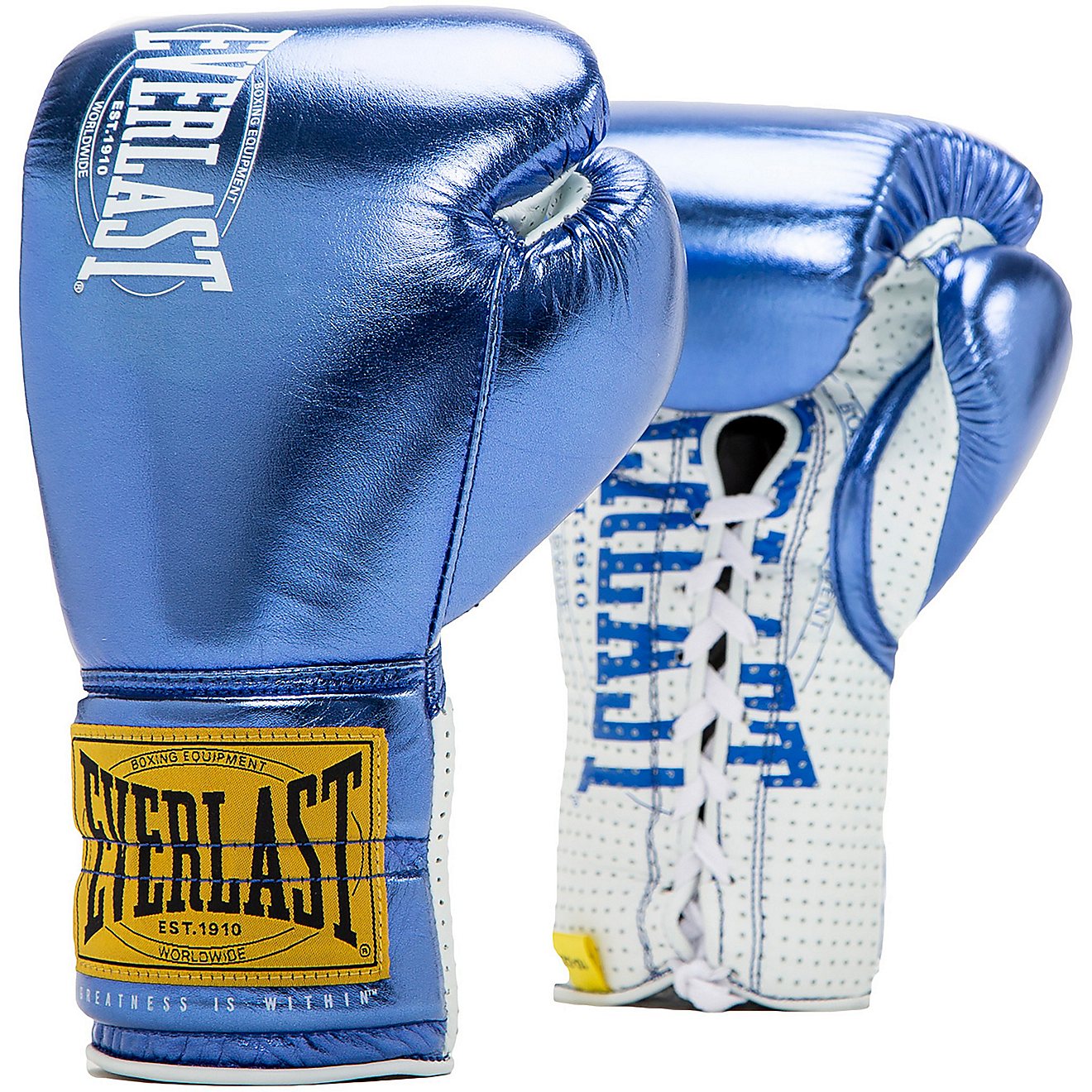 vlinder medeklinker Cater Everlast 1910 Pro Classic 10 oz Fight Gloves | Academy