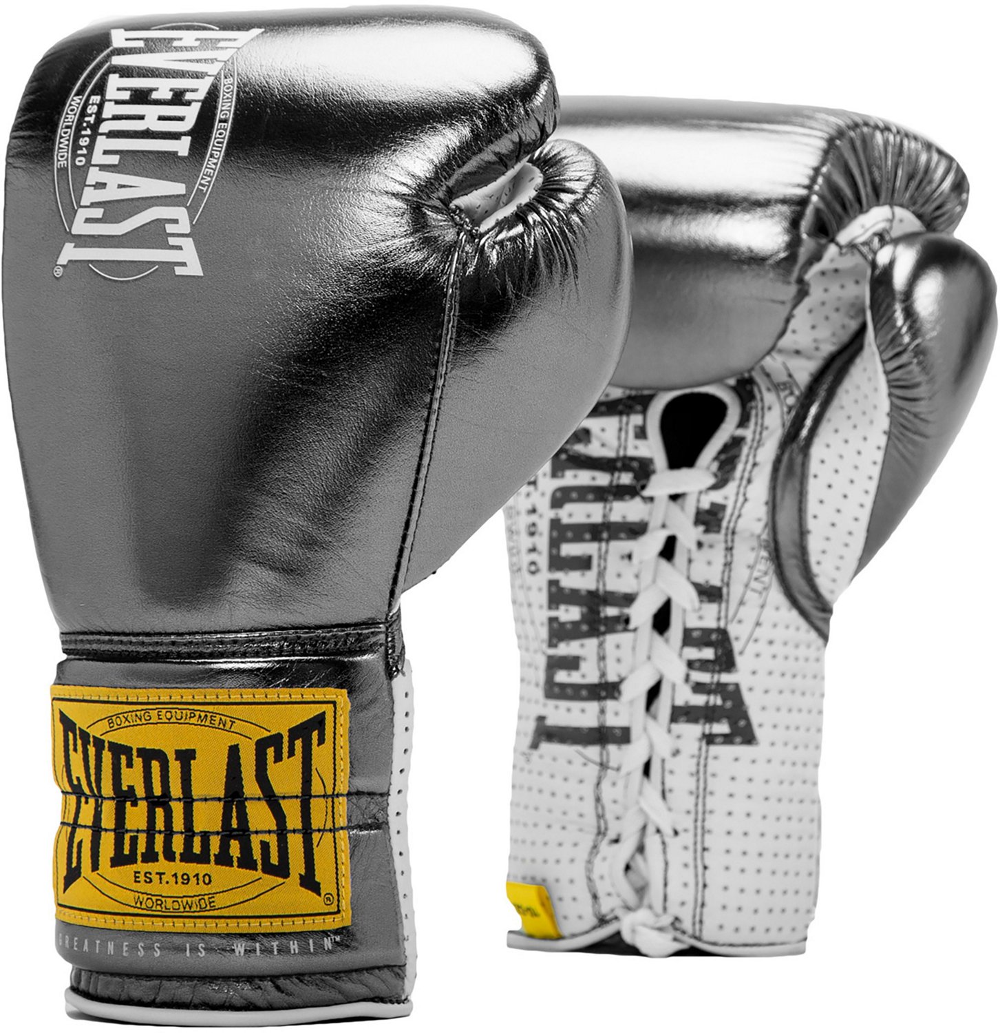 Guantes Pro Fight Everlast 1910 – Pugil Store