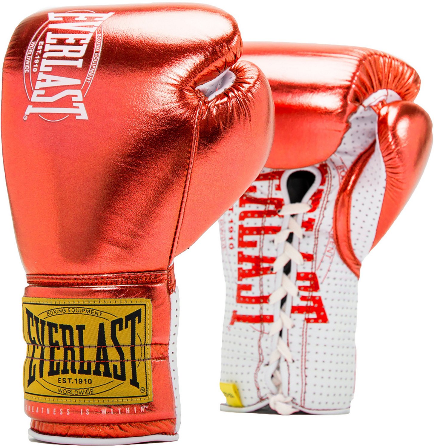 Everlast 1910 Pro Classic 10 oz Fight Gloves
