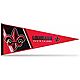 Rico University of Louisiana at Lafayette Soft Pennant                                                                           - view number 1 image