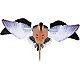 Avian-X Powerflight Spinning Wing Dove Decoy                                                                                     - view number 1 selected