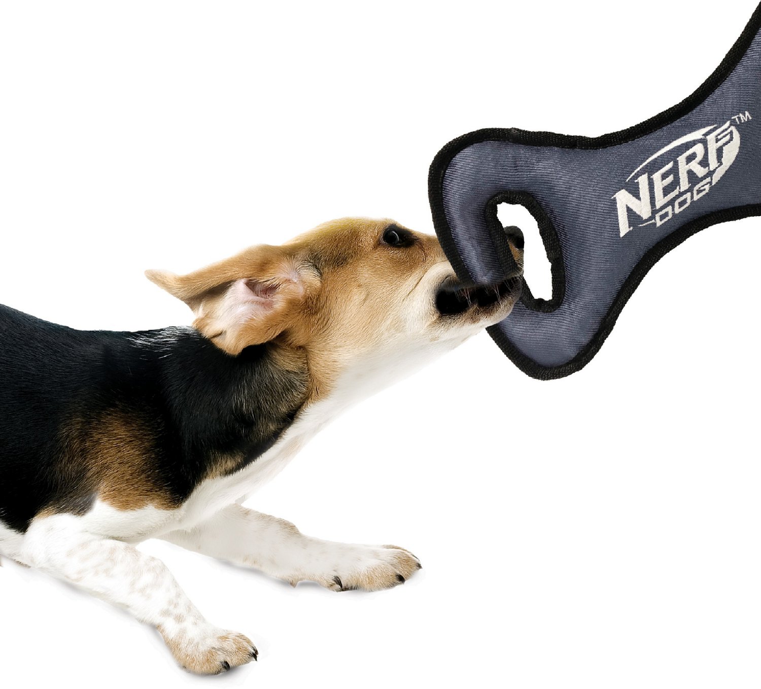 NERF Dog 12.5 in Tuff Rubber Nylon Plush Infinity Tug                                                                            - view number 6