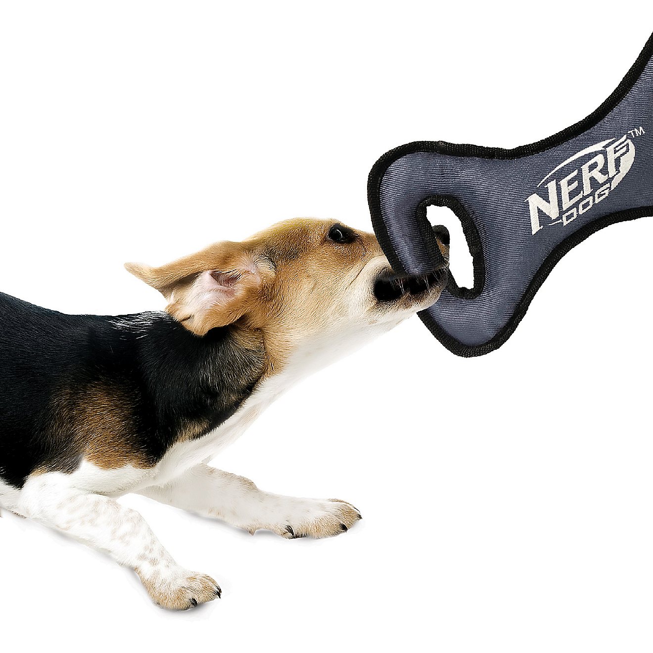 NERF Dog 12.5 in Tuff Rubber Nylon Plush Infinity Tug                                                                            - view number 6