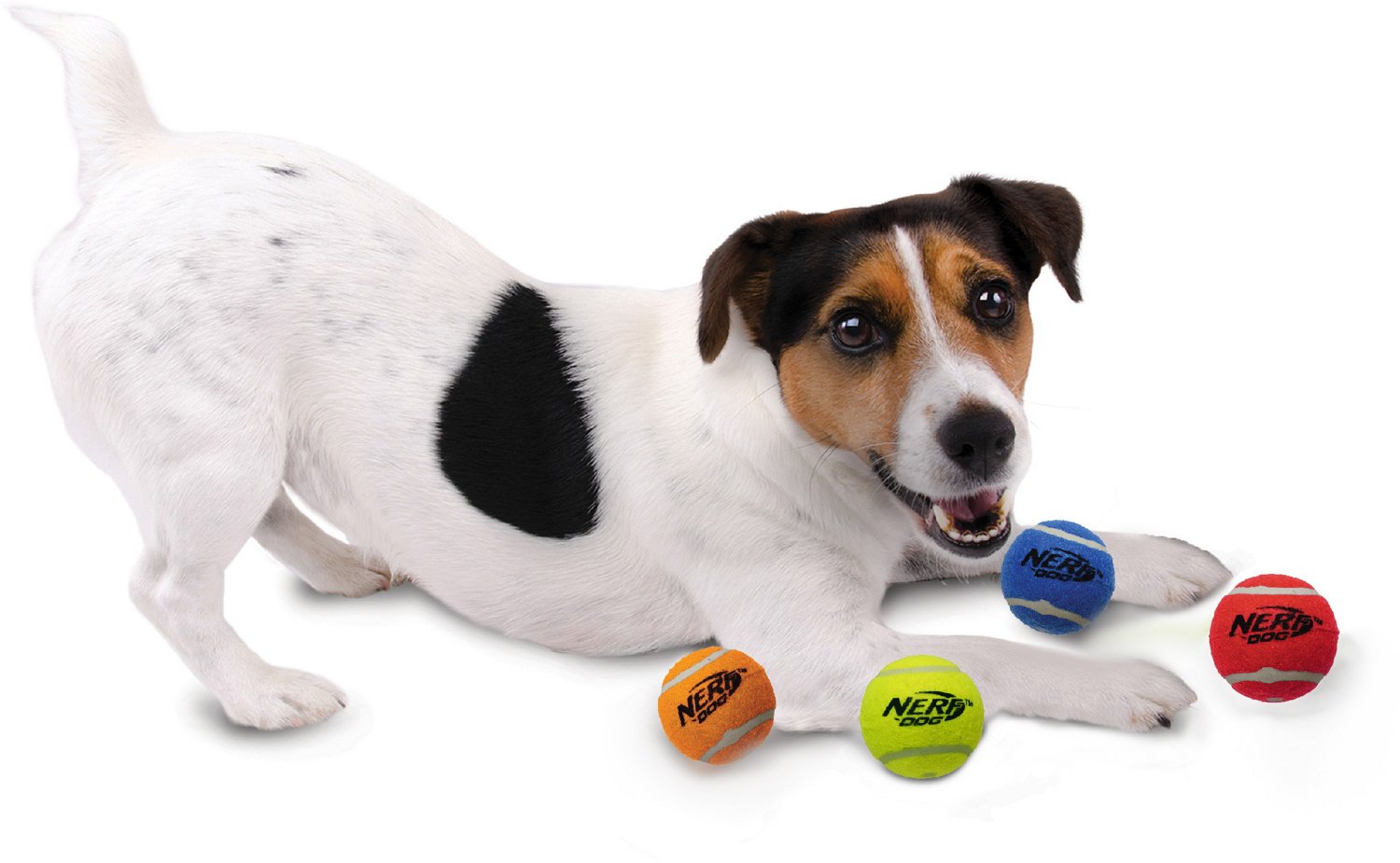 NERF Dog 2.5 in Squeak Tennis Ball 4 Pack                                                                                        - view number 5