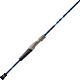 H2O XPRESS Whitecap Spinning Rod                                                                                                 - view number 1 selected