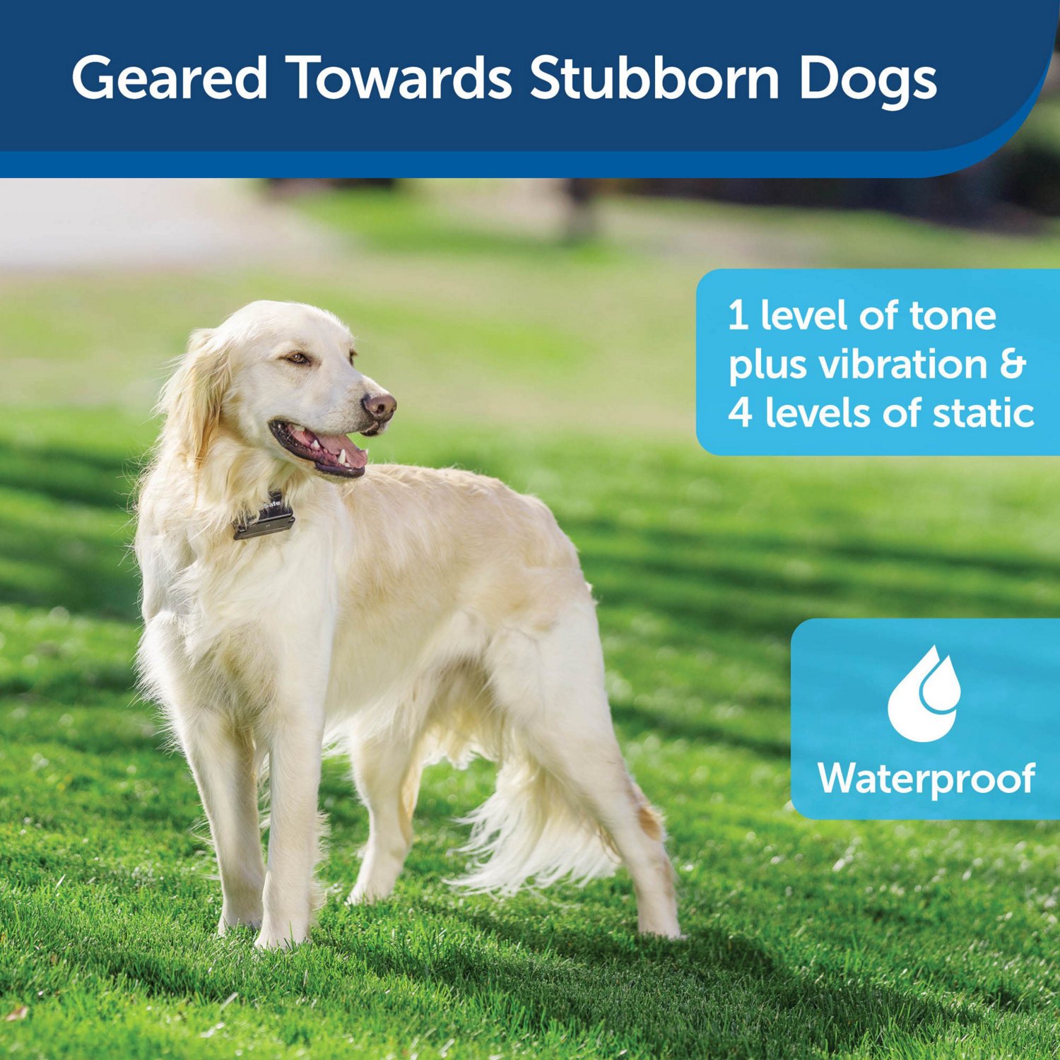 PetSafe Stubborn Dog Receiver Collar                                                                                             - view number 8