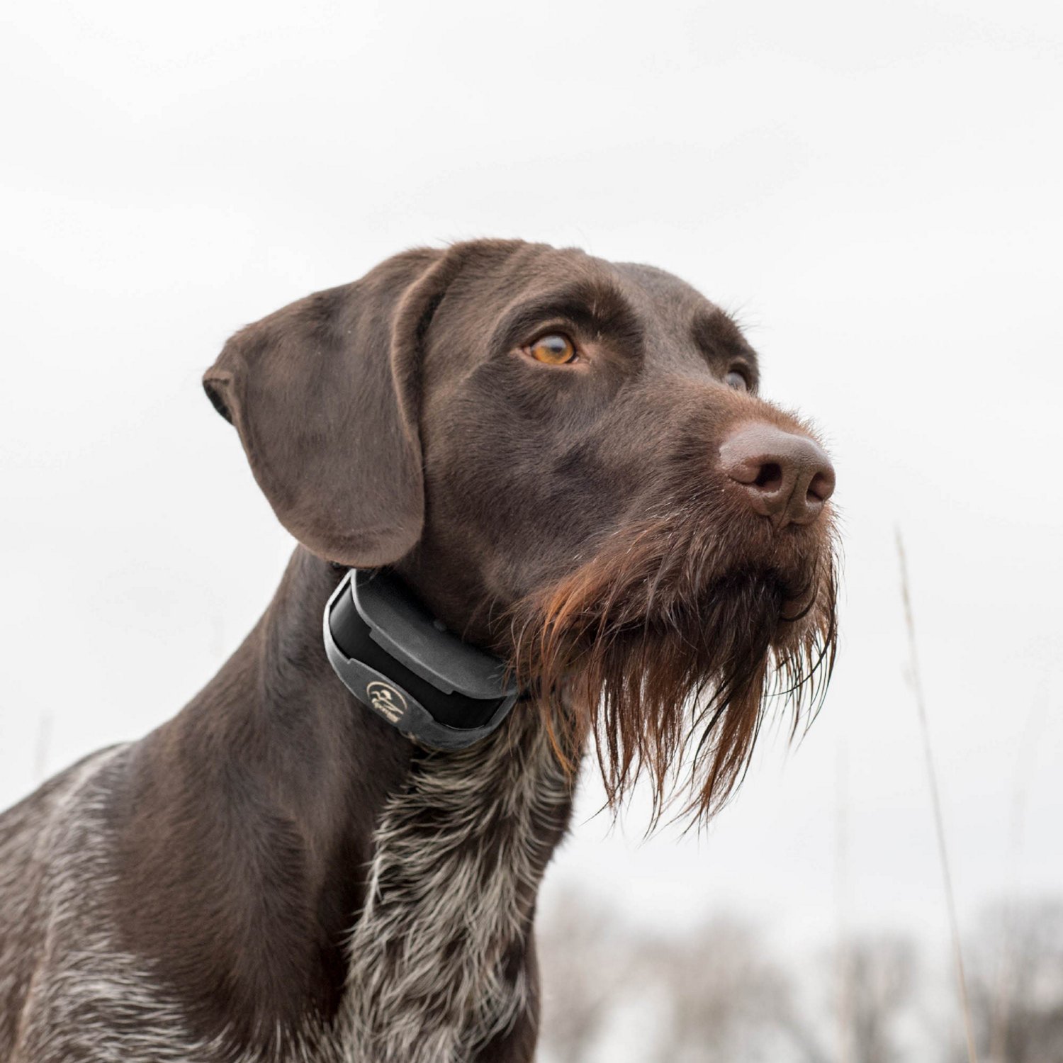 SportDOG Brand SportTrainer 1275 Remote                                                                                          - view number 4