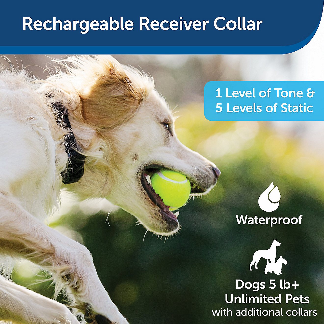 PetSafe YardMax Rechargeable Receiver                                                                                            - view number 4