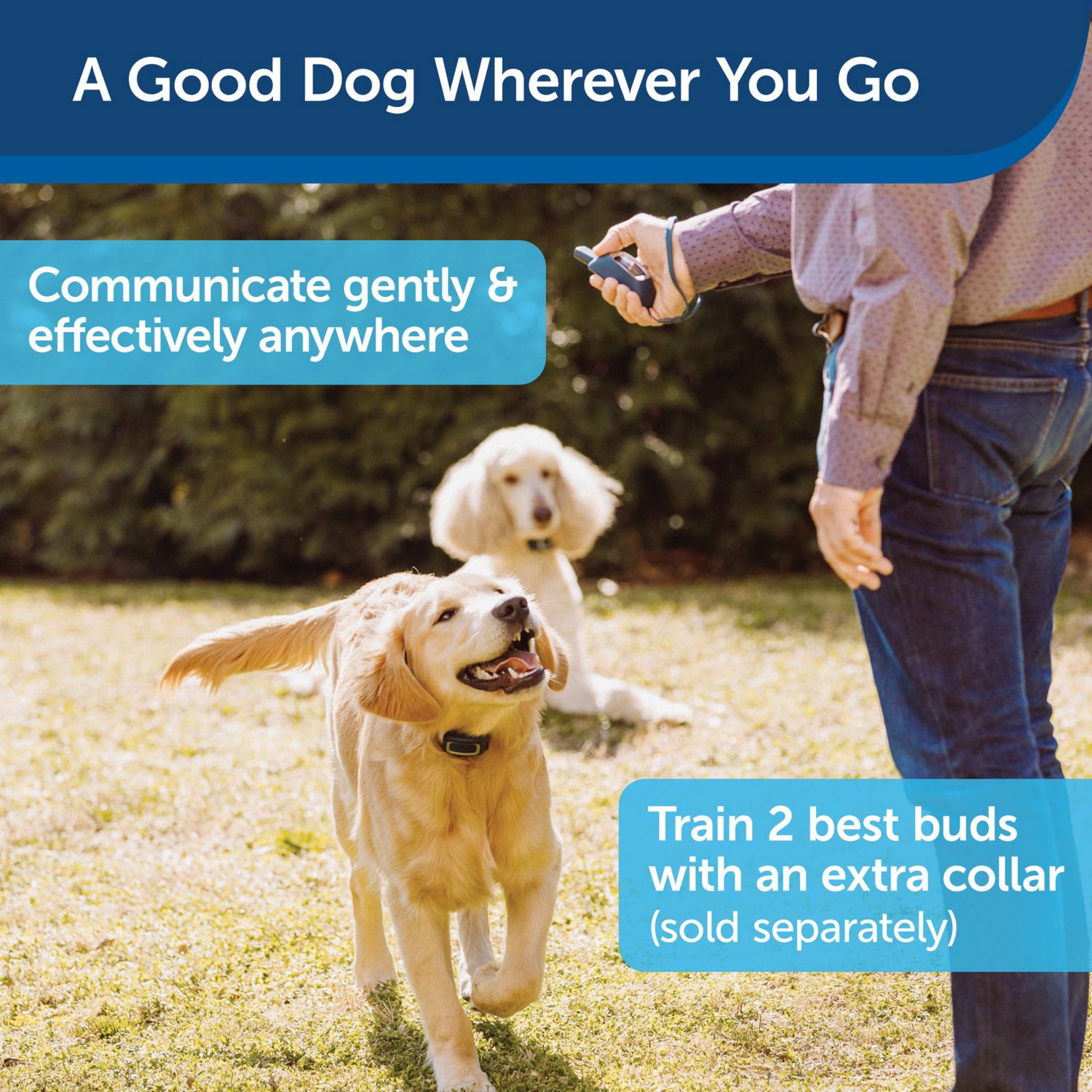 PetSafe 300 Yard Remote Spray Trainer                                                                                            - view number 8