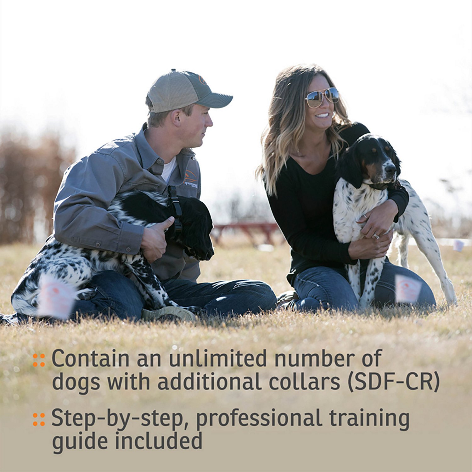 SportDog Brand Contain + Train System                                                                                            - view number 6