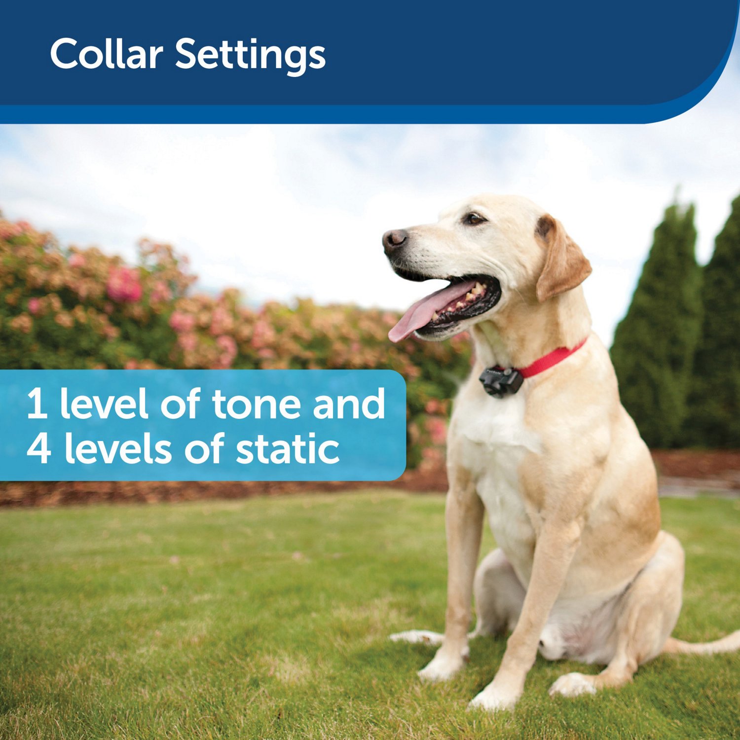 PetSafe Ultralight Receiver Collar                                                                                               - view number 5