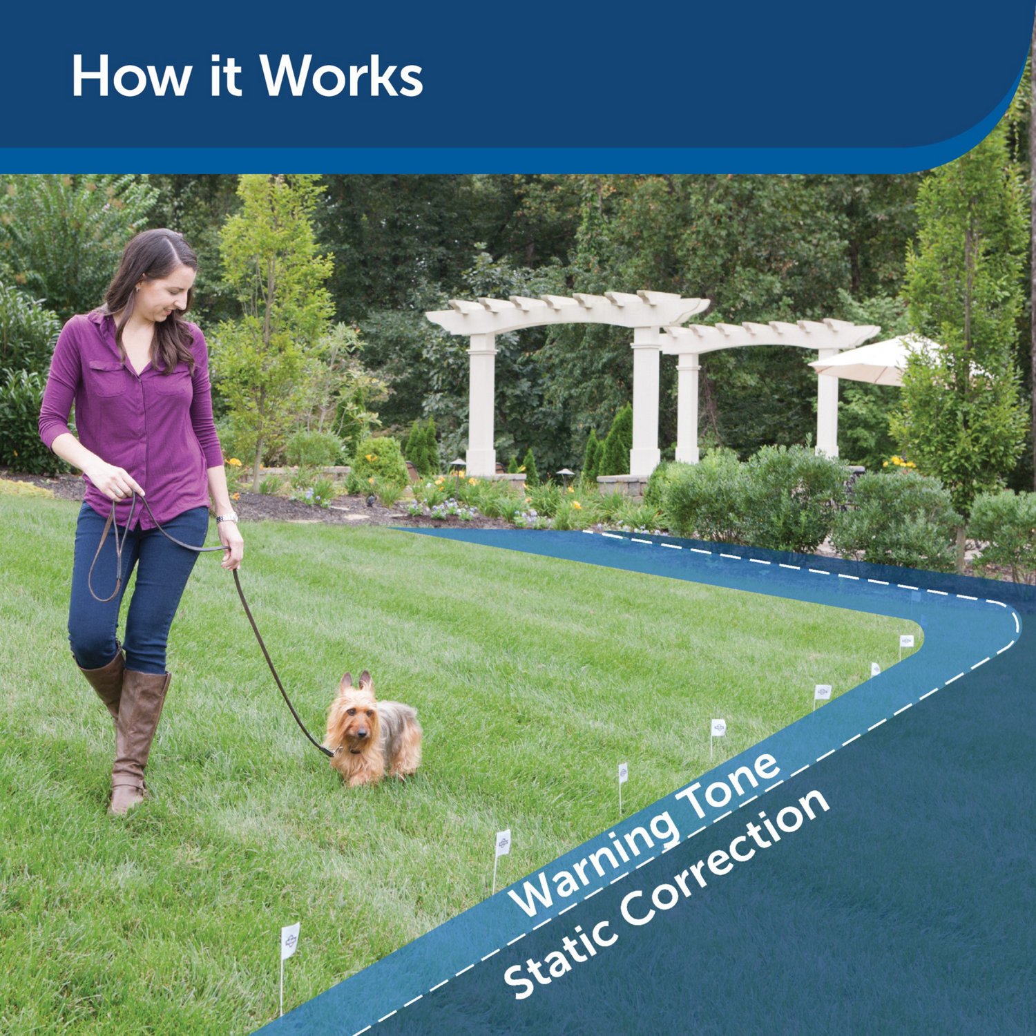 PetSafe Ultralight Receiver Collar                                                                                               - view number 6