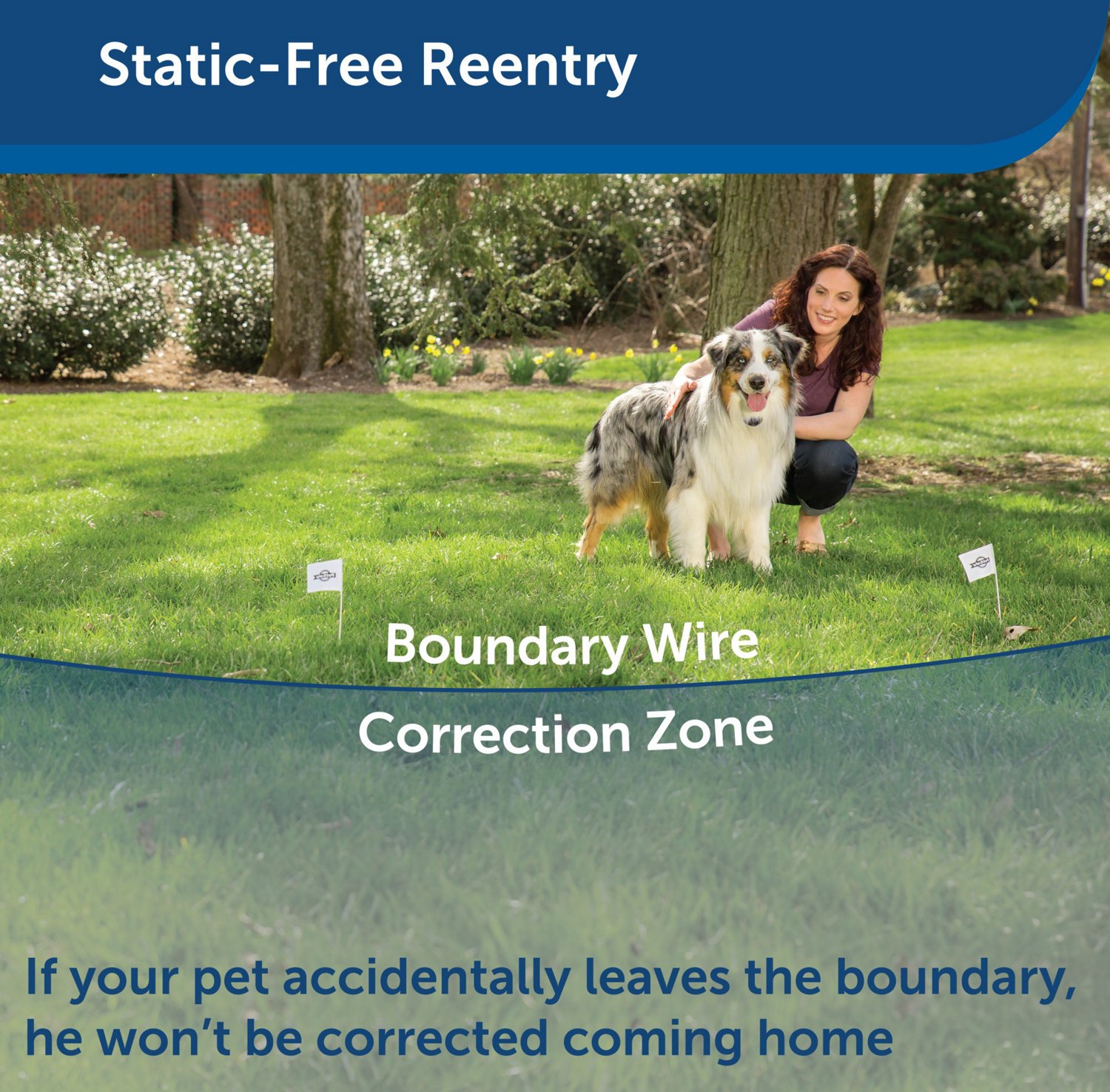 PetSafe YardMax Rechargeable Receiver - view number 6