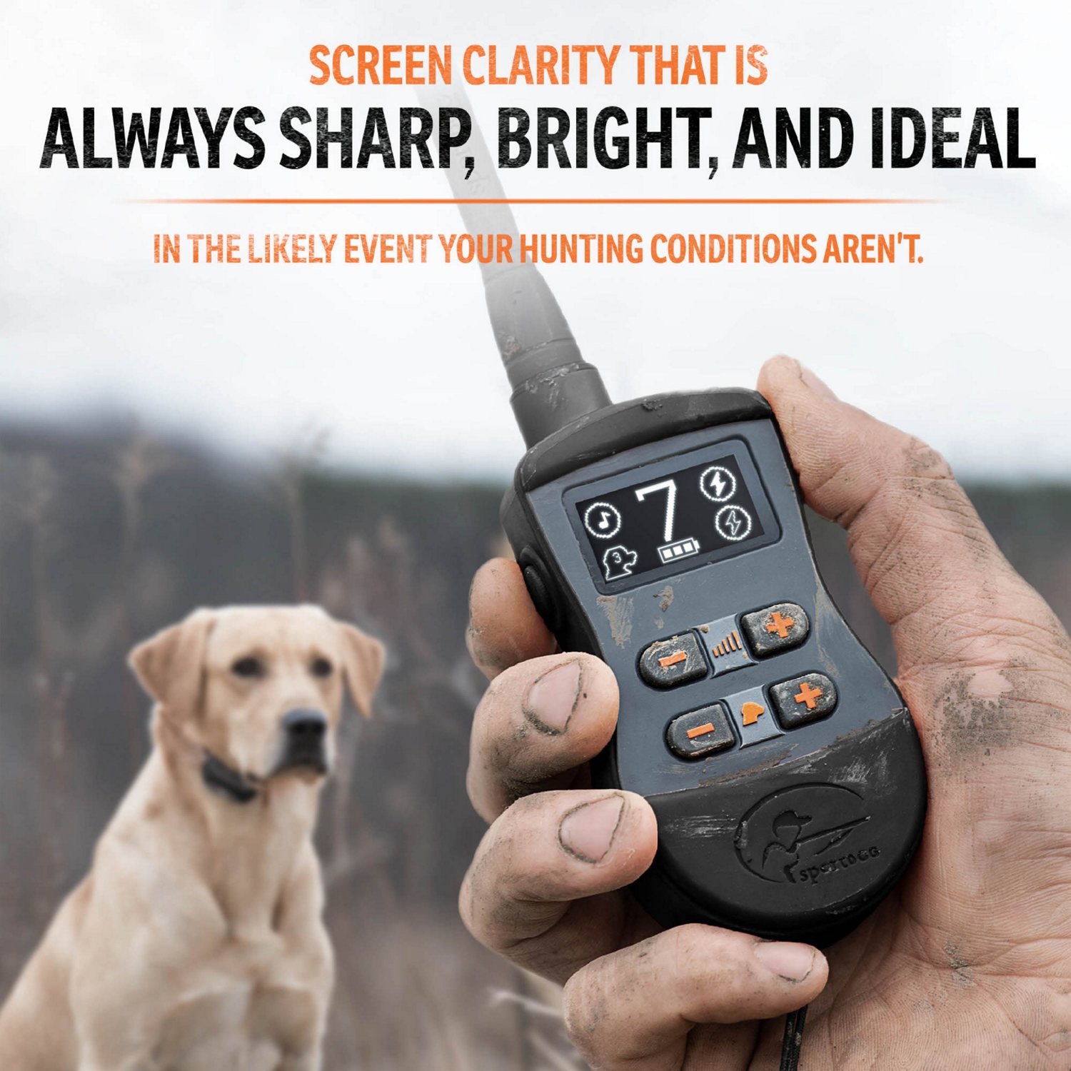 SportDOG Brand SportTrainer 875 Remote                                                                                           - view number 4