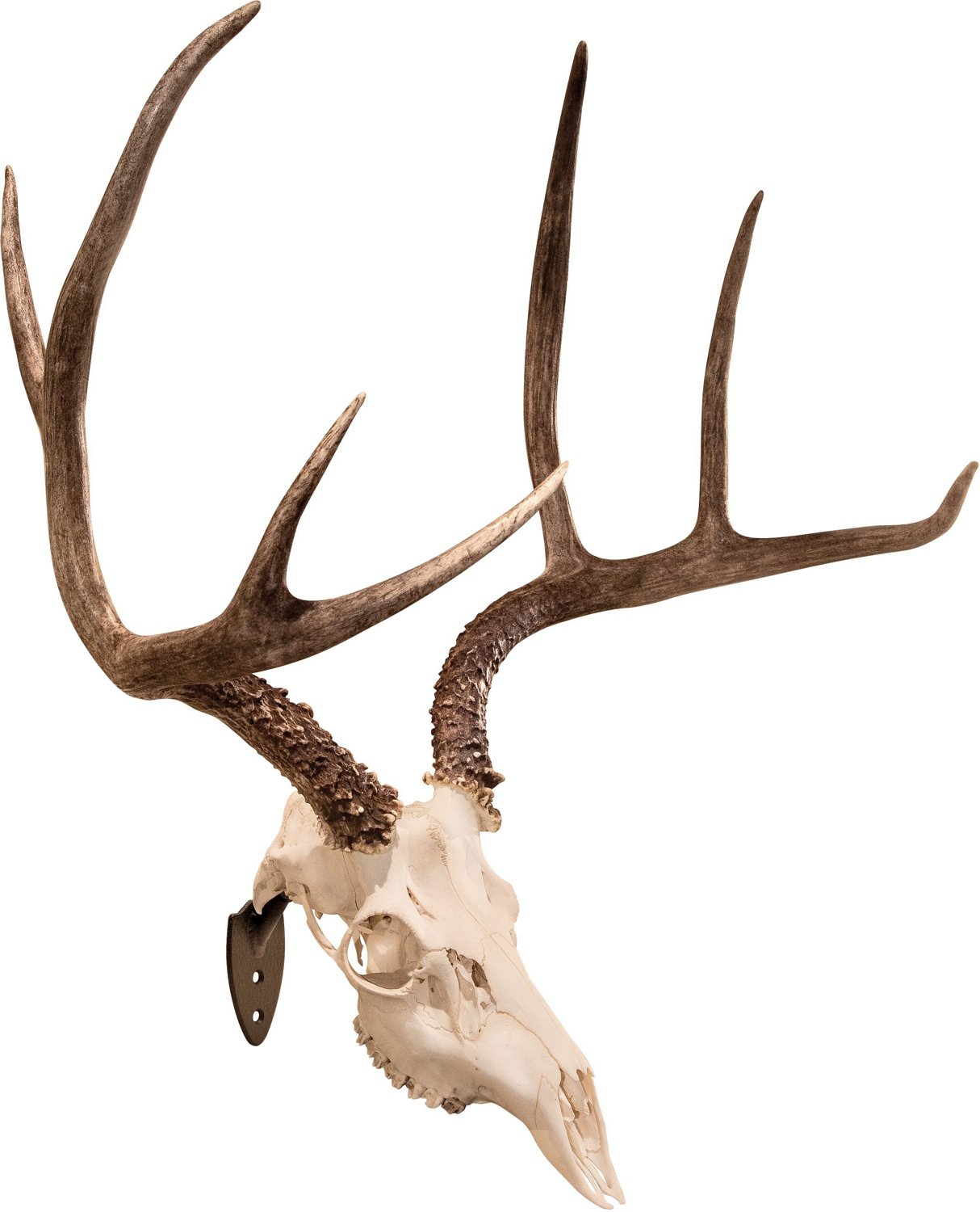 SkullHooker Flush Wall Mount                                                                                                     - view number 2