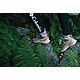 Columbia Women's Trailstorm Waterproof Mid-Top Hiking Shoes                                                                      - view number 8