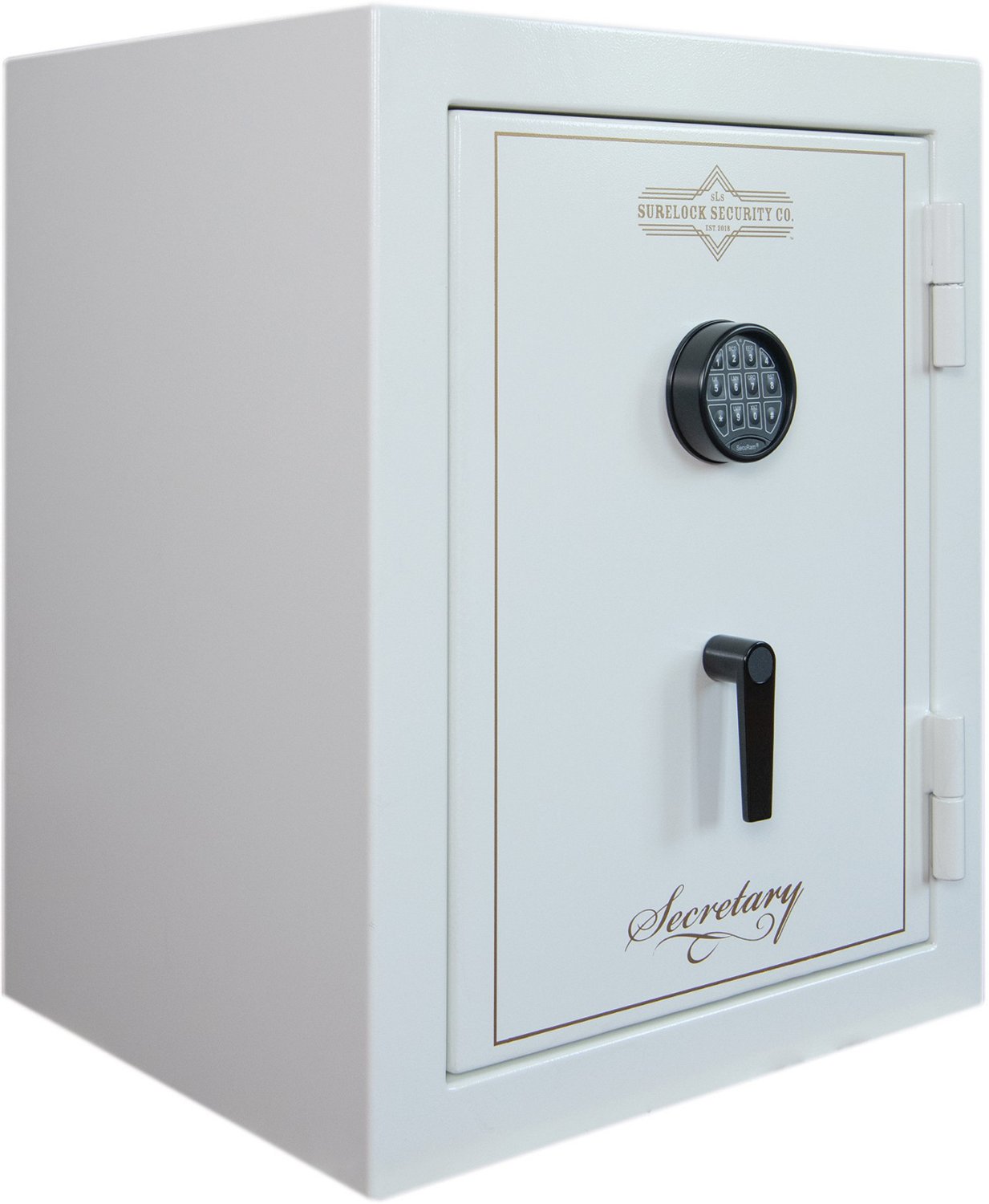 SureLock Security Secretary 30 Gun Safe Academy