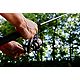 Ugly Stik GX2 6' M Freshwater/Saltwater Spinning Rod and Reel Combo                                                              - view number 7