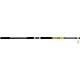 Ugly Stick Bigwater 12 ft H Surf Spinning Rod                                                                                    - view number 1 selected