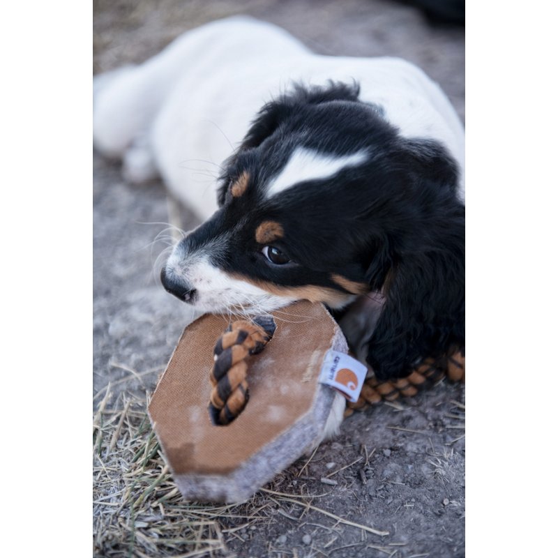 Carhartt Rope Bone … - image