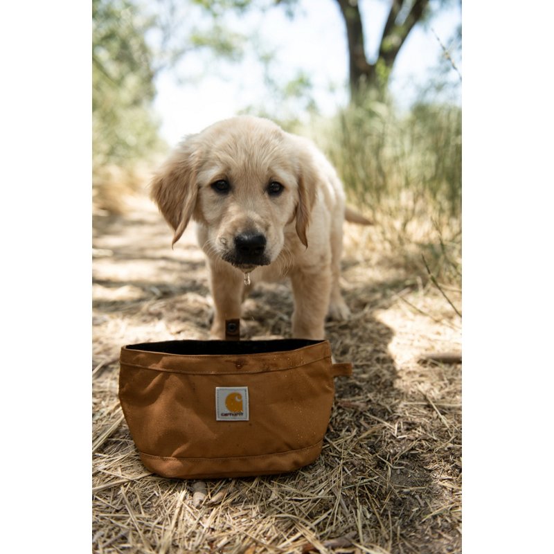 Carhartt Nylon Duck Travel Dog Bowl Brown/Brown - Pet Accessories at Academy Sports