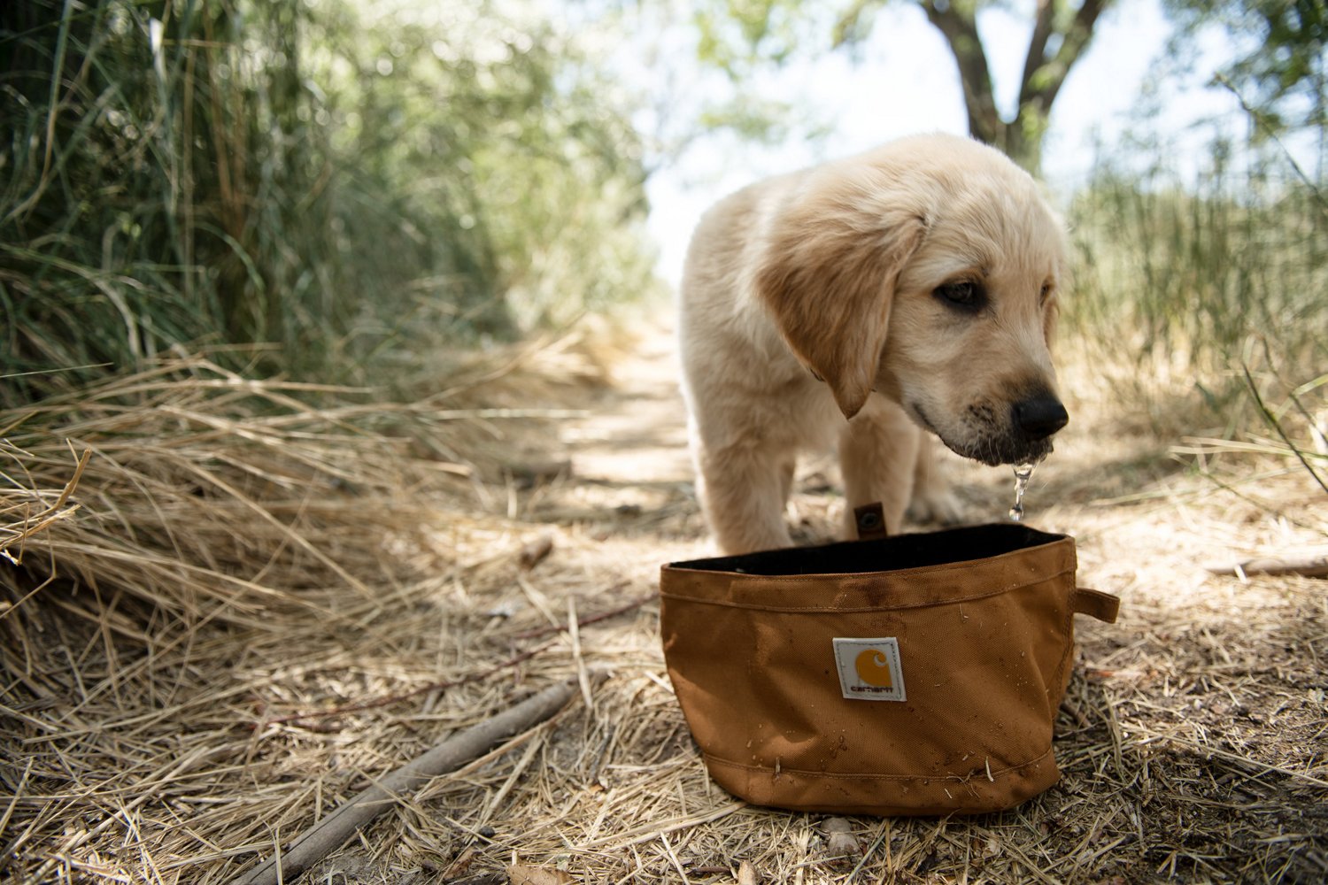 Carhartt Nylon Duck Travel Dog Bowl | Academy