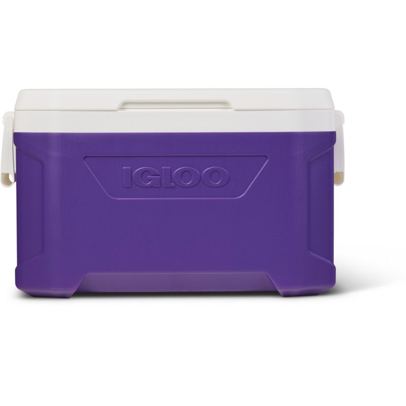 Igloo Academy Profi… - image
