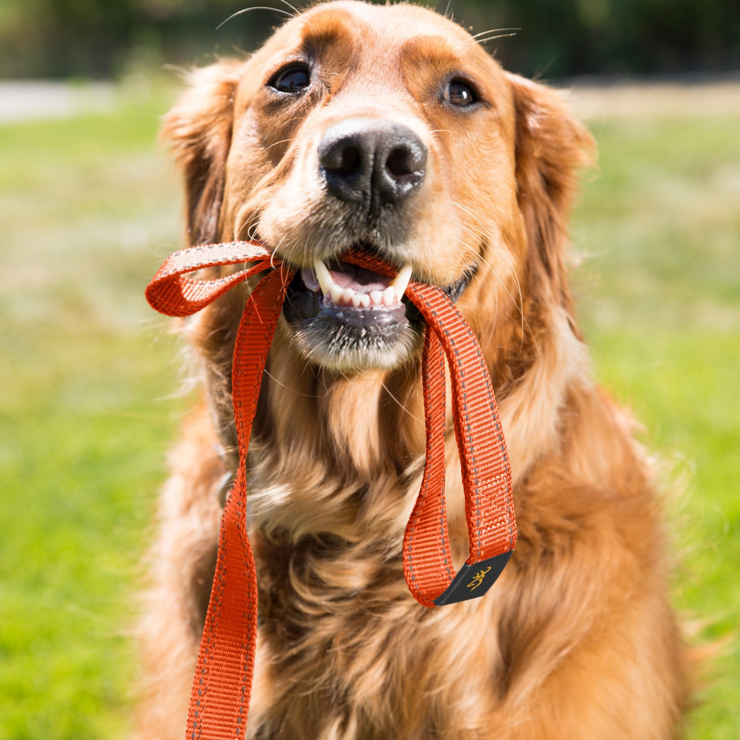 Browning Classic Webbing Leash